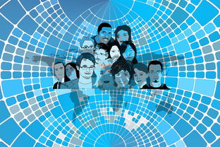 开云体育网址-美国队赛制分析：赛制中的人员调整与战术变化，美国队训练赛